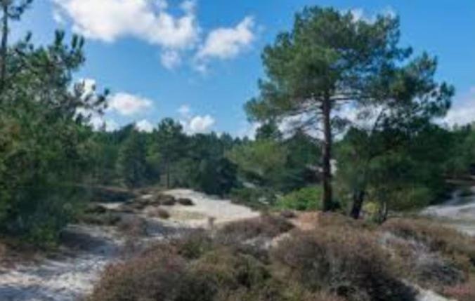 Huisje Finn park de Horn Dirkshorn Eksteriør bilde